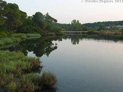 Koukounaries pond