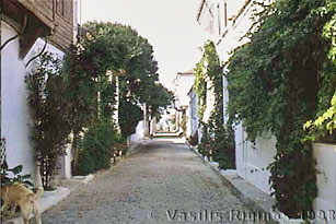 Photograph of a Tenedos Street