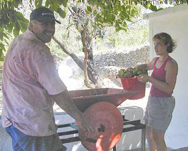 Pressing of the Grapes in Kalami