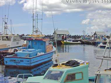Barbados Fish Harbor