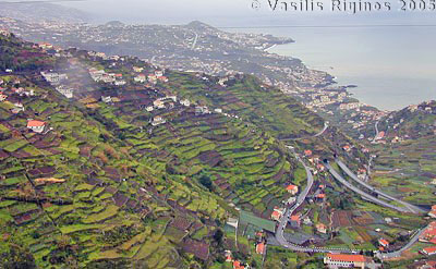 The Green Slopes of Madeira