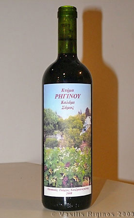 2008 Wine Bottle